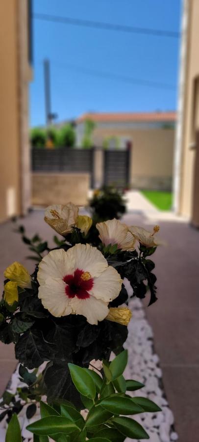 Splendid Villas And Family Resort Kalamitsi Amygdali Екстер'єр фото